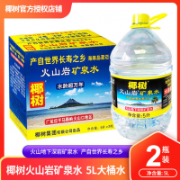 椰樹火山巖礦泉水天然礦泉水