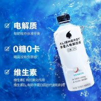 網(wǎng)紅元?dú)馍滞庑侨穗娊赓|(zhì)水500ml*15瓶