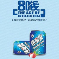 峨眉雪易拉罐荔枝果味汽水夏季飲品碳酸飲料