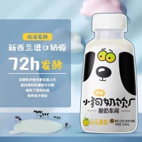 團友小奶狗風味乳酸菌網紅低脂肪飲品